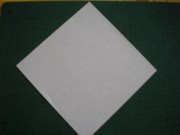 折り紙織り方写真/金魚No.[2] <br />向きを変えました。